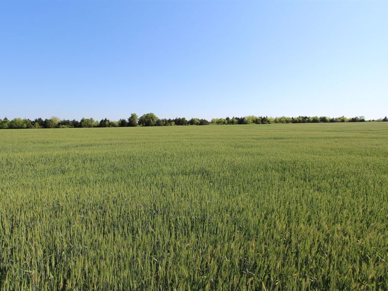 Country Home Farm & Ranch Land : Blossom : Lamar County : Texas