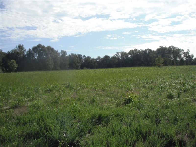 27 Acres, Lancaster County, Sc : Lancaster : Lancaster County : South Carolina
