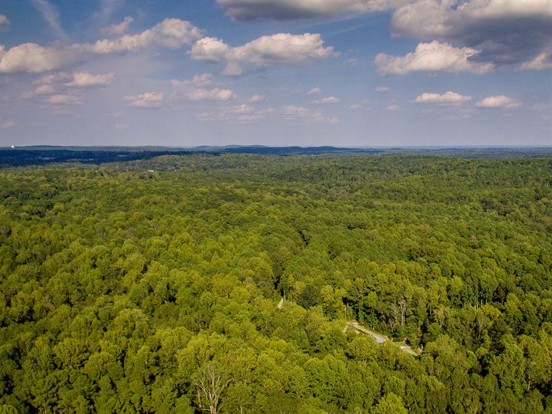 Large Wooded Acreage : Pittsboro : Chatham County : North Carolina