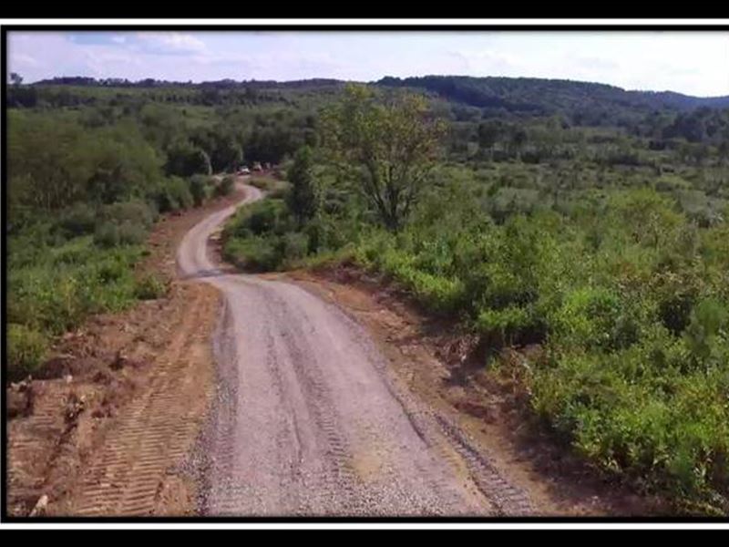 Shurtz Farm Tract 5 : Brown : Vinton County : Ohio