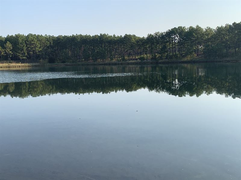 Tremendous Hunting with Large Lake : Andersonville : Macon County : Georgia