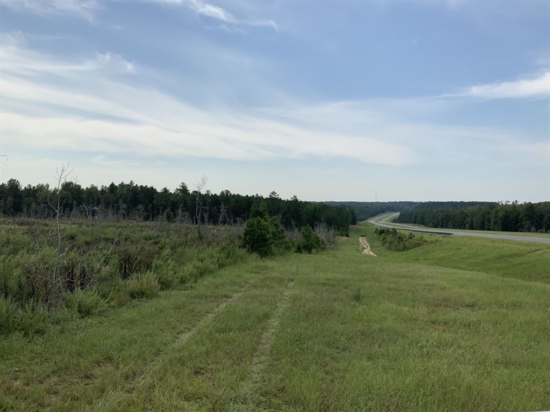 30 Ac Homesite in Great Location : Ellaville : Schley County : Georgia