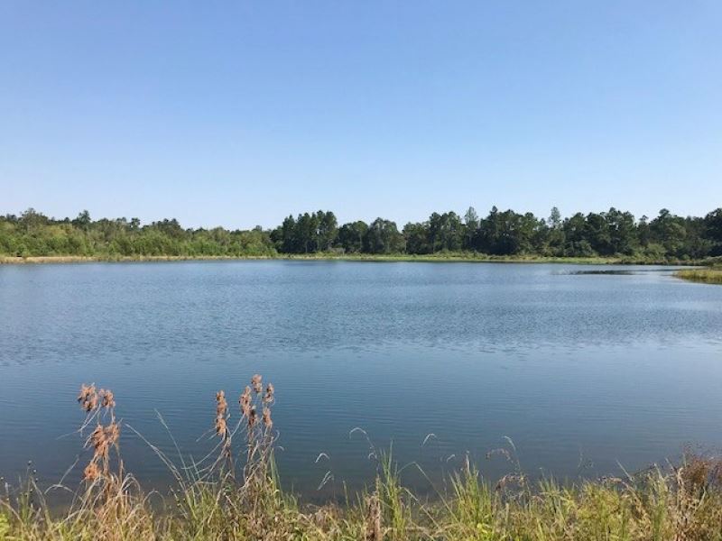 10 Acre Lake On 132 Acres Of Timber : Poplarville : Pearl River County : Mississippi