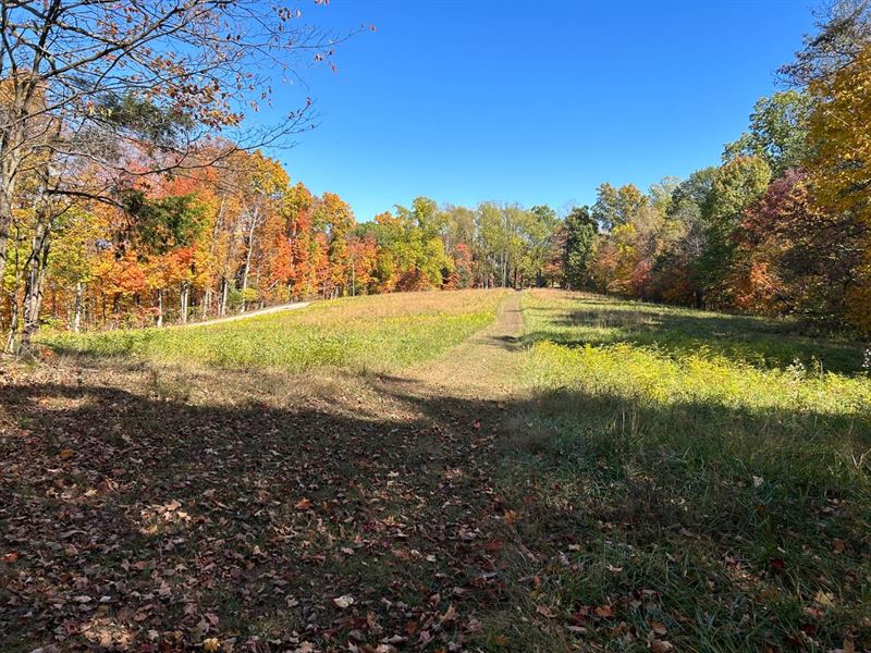 Land for Sale Monroe County, IN 9.2 : Bloomington : Monroe County : Indiana