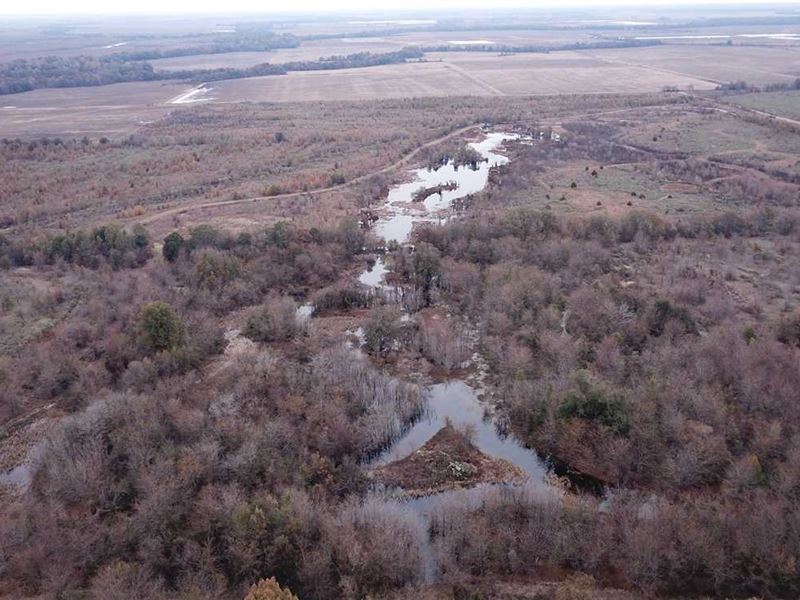 955.87 Acre Duck and Deer Hunting : Eudora : Chicot County : Arkansas