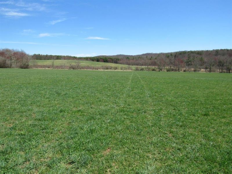 Large Tract Farm Land Willis VA, Farm for Sale in Virginia, 215992