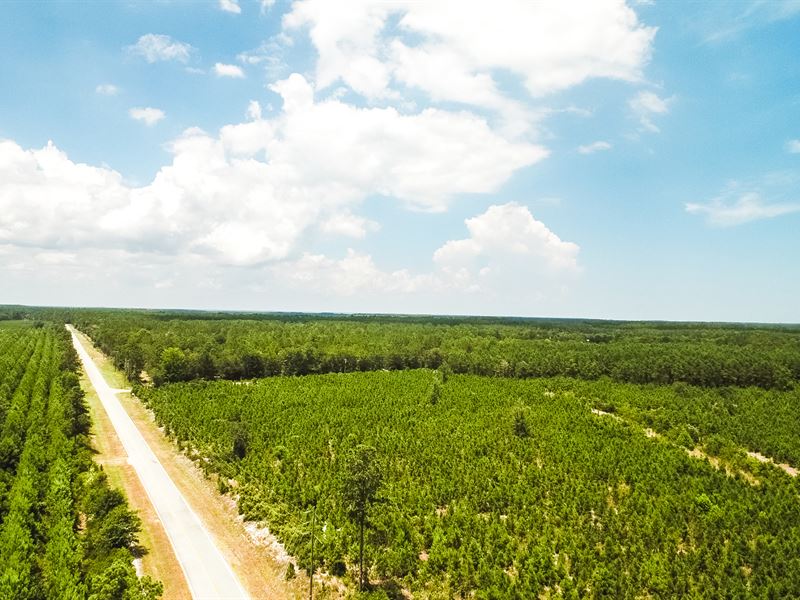 Pine Plantation At Shellman Bluff, Farm for Sale in 216028