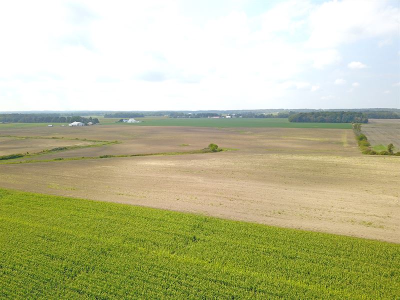 173 Acres Vacant Land, Farm Auction in Ohio, 216036 FARMFLIP