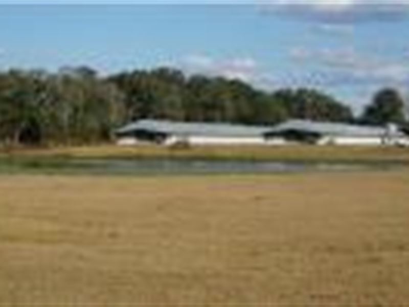 Working Poultry Farm, Farm for Sale in Florida, 216155 FARMFLIP