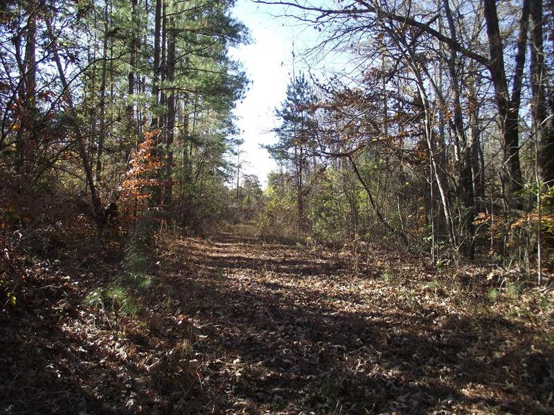 Large Acreage TN Land Tract, Farm for Sale in Tennessee, 216273 FARMFLIP