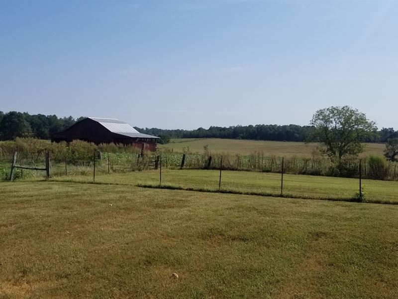 79.95+/ Acres Beautiful Farm Land, Farm for Sale in Tennessee, 216342 FARMFLIP