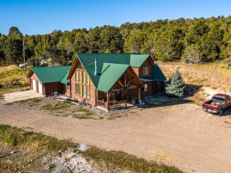 Log Home on 40 Acres Farm for Sale in Cedaredge, Delta County