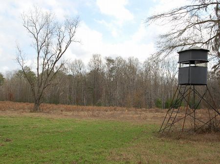 223 Acres in Fitzpatrick : Fitzpatrick : Bullock County : Alabama