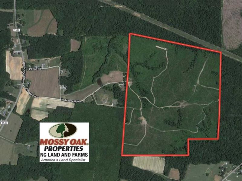 128 Acres of Hunting Land for Sale, Farm for Sale in North Carolina