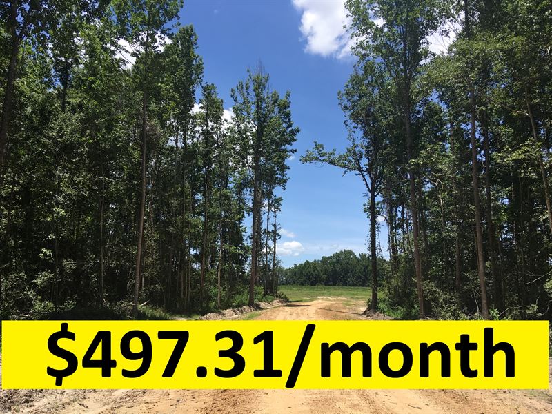 Owner Financed Acreage : Metter : Candler County : Georgia