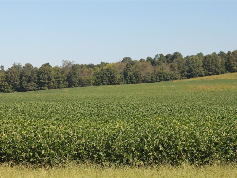 105+ Acre Simpson County Farm, Farm for Sale in Kentucky, 216726