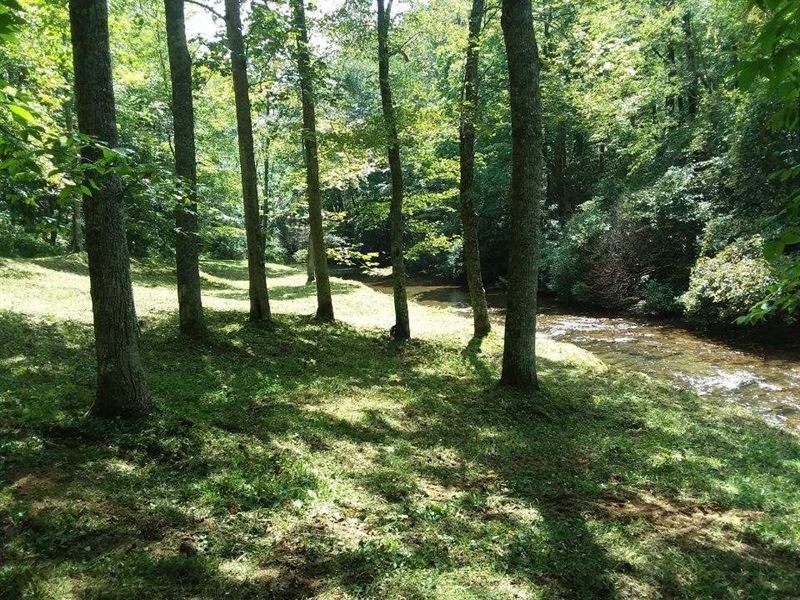 Land Sell Patrick County, Virginia, Farm for Sale in Virginia, 216789