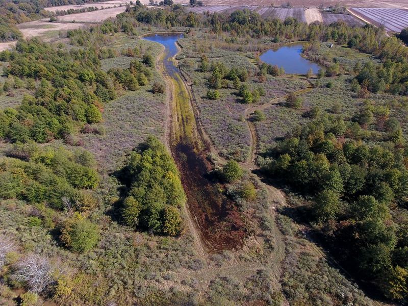 Duck and Deer Hunting Land : Enid : Tallahatchie County : Mississippi