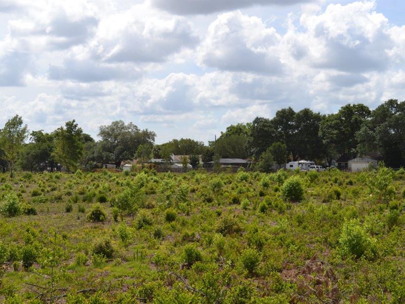 Wesley Chapel Residential Develop : Wesley Chapel : Pasco County : Florida