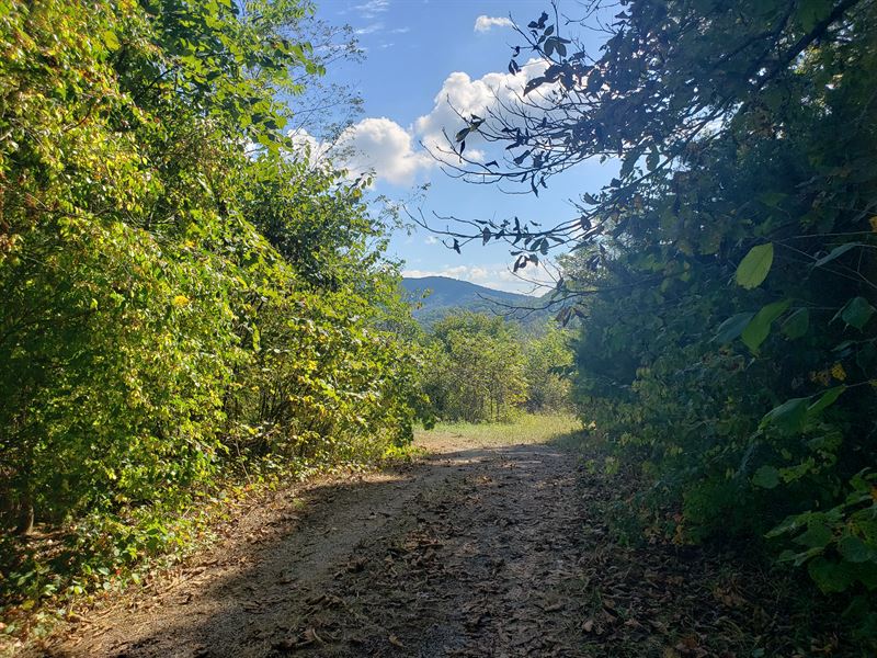 151 Acres Unrestricted Land : Mooresburg : Hawkins County : Tennessee