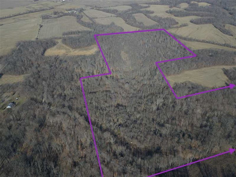 Knox County IN Land for Sale, Hun, Farm for Sale in Indiana, 216851 FARMFLIP