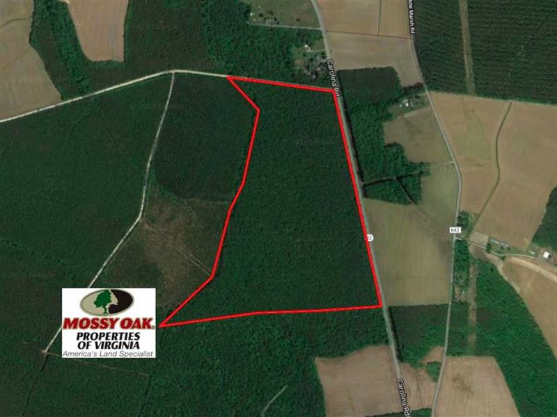 Under Contract, 85 Acres of Timbe : Cypress Chapel : Suffolk City County : Virginia