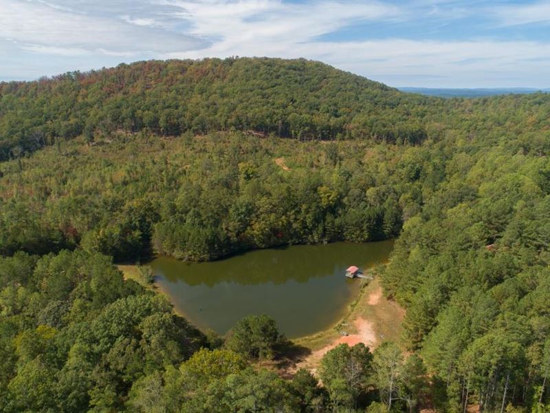 The Tally Mountain Cabin Lake, Farm for Sale in 216934 FARMFLIP