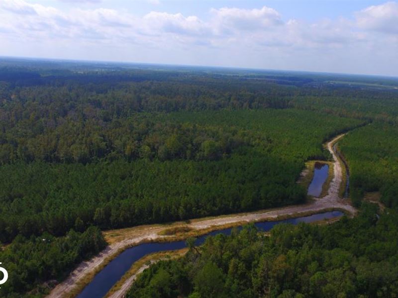 White Lake Twin Ponds, Farm for Sale in North Carolina, 216936 FARMFLIP