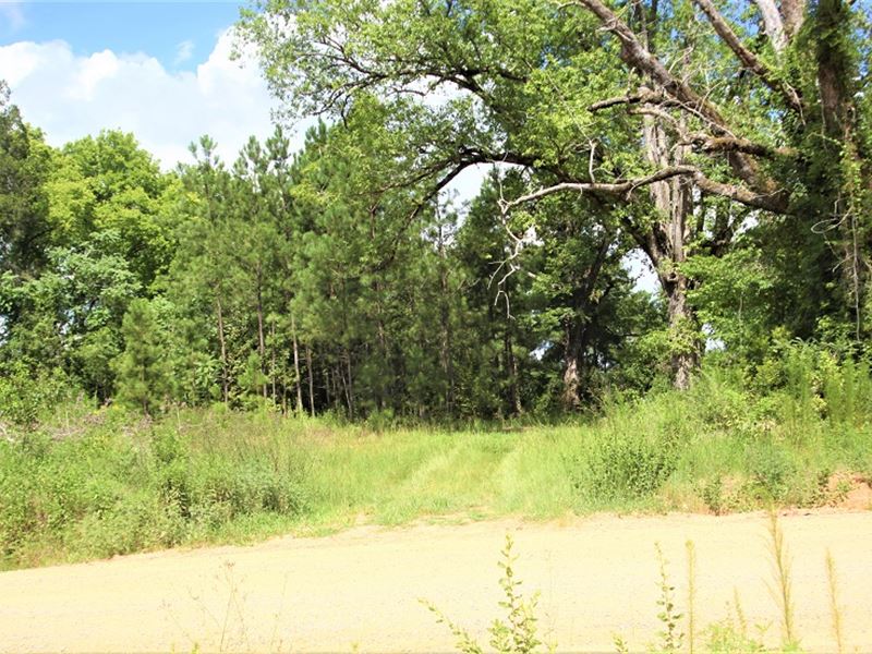 Affordable Acreage in Jones County, Farm for Sale in 217024
