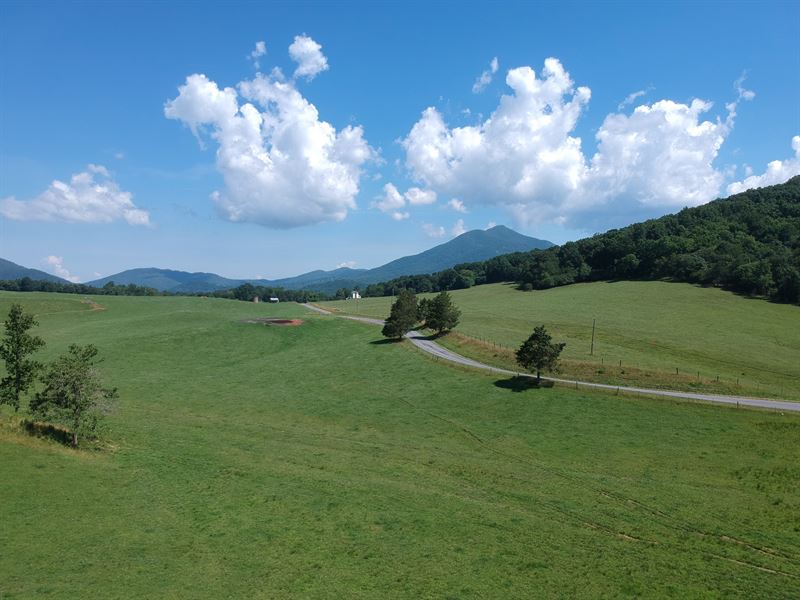 Productive Pasture, Hardwood Forest : Bedford : Bedford County : Virginia