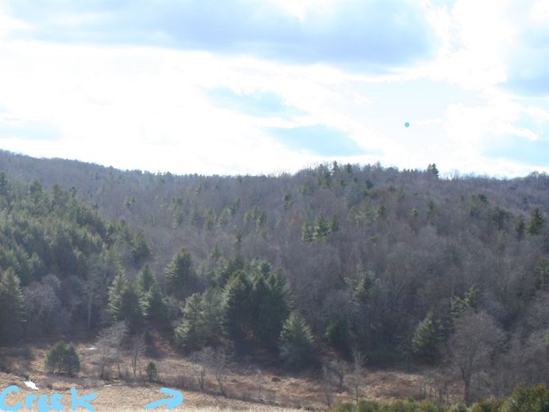 Wooded Recreational Property Floyd, Farm for Sale in Virginia, 217121