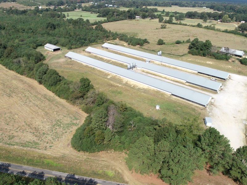 Poultry farm for sale in florida bopqeagent
