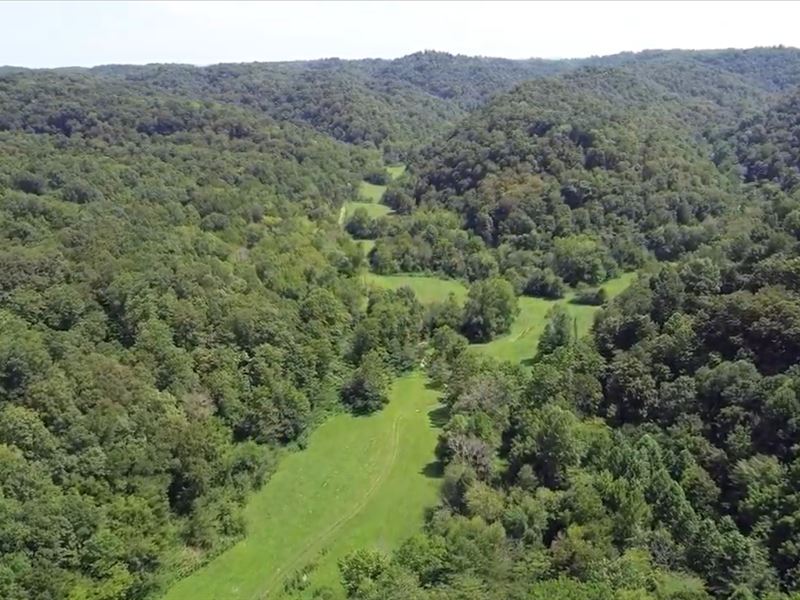 Kentucky Land for Sale, Farm for Sale in Kentucky, 217461 FARMFLIP