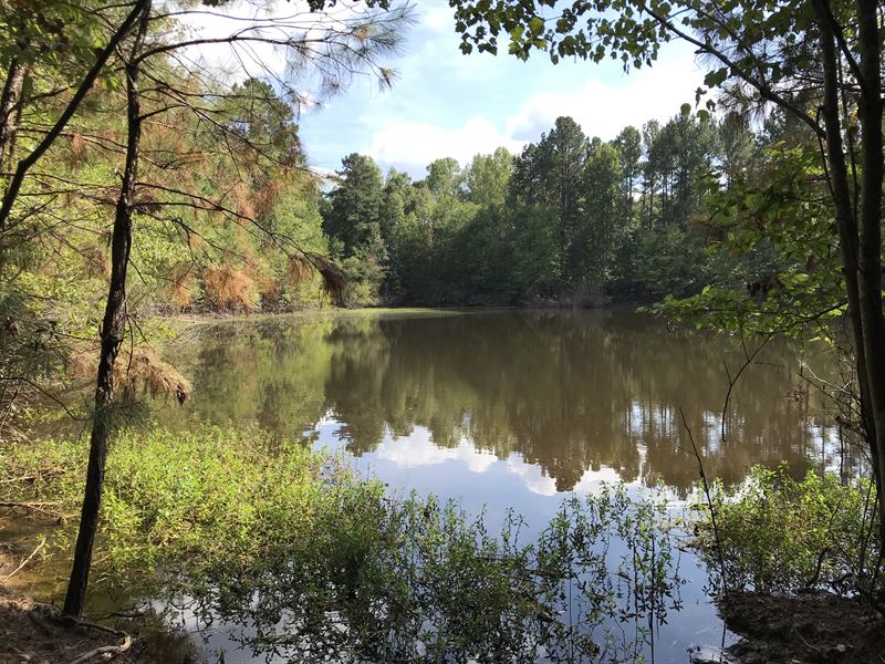 Buck Lake On Allie Road, Farm for Sale in 217486 FARMFLIP