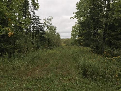Channing Rd : Crystal Falls : Iron County : Michigan
