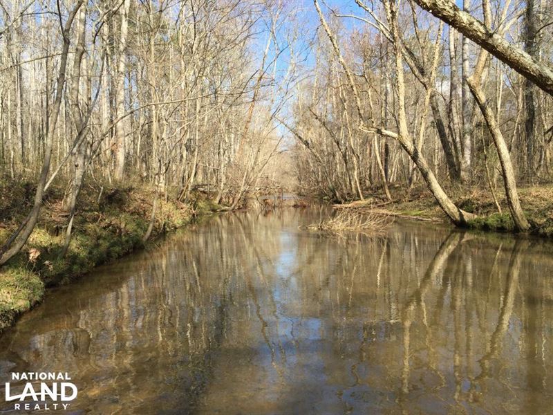 Shoal Creek Road Recreational Timbe : Ashville : Saint Clair County : Alabama