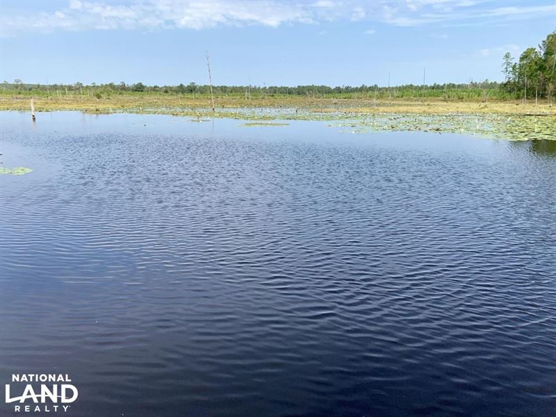 The Big Creek Lake Pond And Timber Farm for Sale in Mobile, Mobile