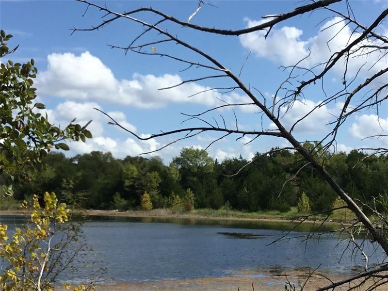 Land 122 Acres Kaufman County Farm for Sale in Terrell, Kaufman