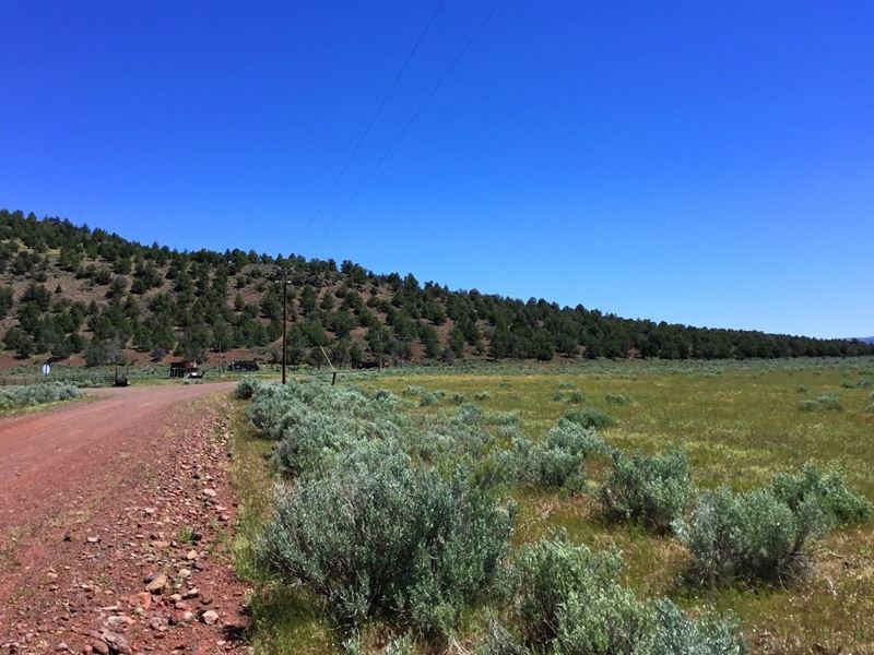 Excellent 40 Ac, Power, $610 P/Mo : Termo : Lassen County : California