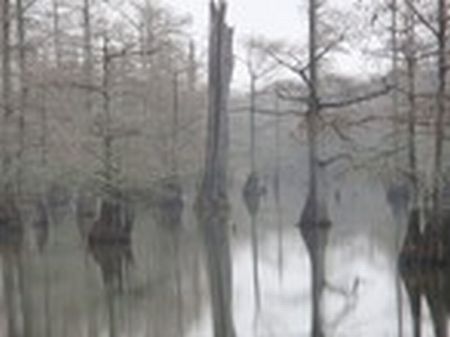 Exclusive Delta Hunting Club : Greenwood : Leflore County : Mississippi