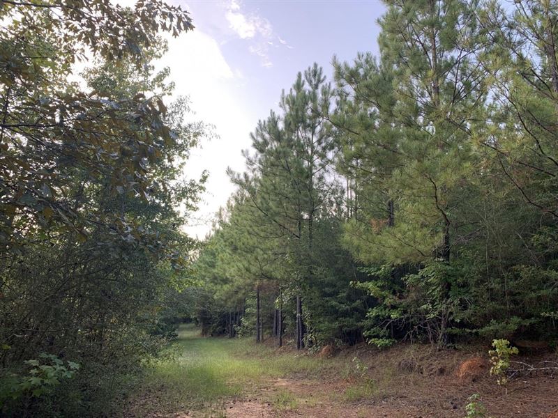 Hunting Tract with Pond : Selma : Dallas County : Alabama