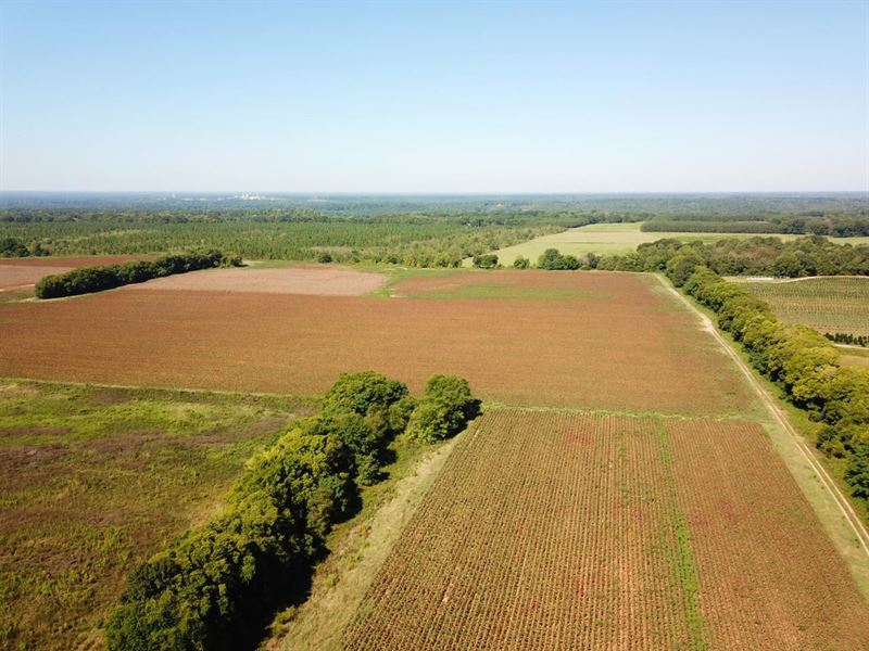 Multiuse Farmland : Autaugaville : Autauga County : Alabama