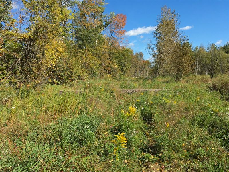 Land Lot for Sale in Corinth, Maine, Farm for Sale in Maine, 217775