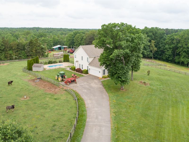 Luxury Farm Panoramic Pasture Views, Farm for Sale in Virginia, 217788