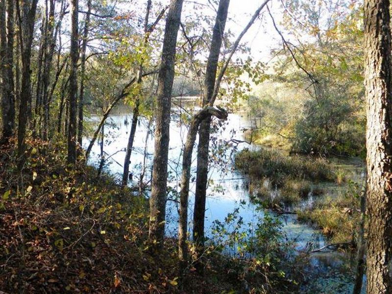 Beaver Dam Pond, Farm for Sale in 217804 FARMFLIP