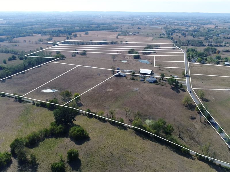 Absolute Farm Auction, 146 Acres Farm Auction in Danville, Boyle County, Kentucky 217915