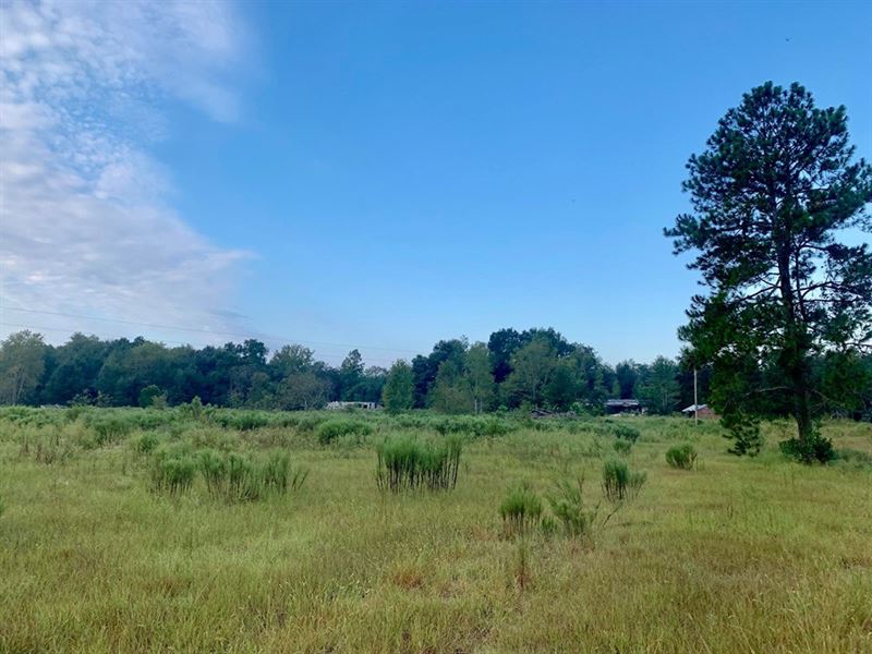 Land Gilchrist County, Branford, Farm for Sale in Florida, 218018 FARMFLIP