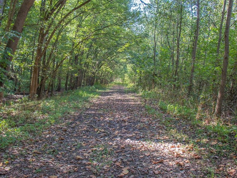 Macoupin County 110 Acre Hunting, Farm for Sale in Illinois, 218224 FARMFLIP