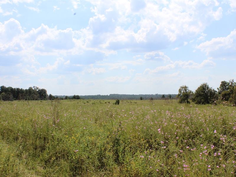 Old Cattle Farm in Middle Ga, Farm for Sale in 218266 FARMFLIP