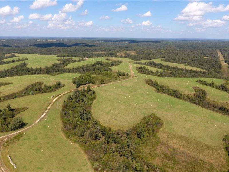 767 Acres in Jane, MO Farm for Sale in Jane, McDonald County